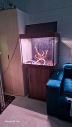 Juwel aquarium Compleet, Huis en Inrichting, Kachels, Ophalen, Zo goed als nieuw, Elektrisch