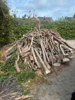 Heel veel open haard hout, 6 m³ of meer, Ophalen, Overige houtsoorten, Blokken