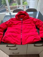 Superdry dames winterjas, Ophalen of Verzenden, Zo goed als nieuw, Jack