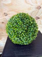 Nieuw. Buxus bol, Huis en Inrichting, Ophalen of Verzenden, Nieuw