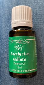 Eucalyptus Radiata 15 ml Young Living, Verzenden, Nieuw, Aroma