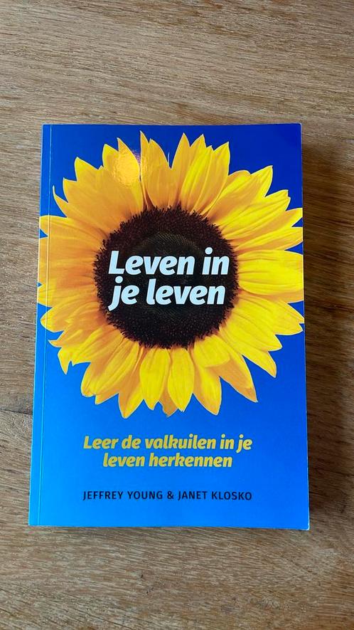 J. Young - Leven in je leven, Boeken, Psychologie, Zo goed als nieuw, Ophalen of Verzenden