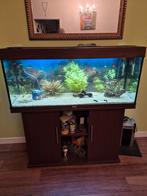 Mooie Aquarium met buitenpomp en kast compleet, Ophalen, Gebruikt, Gevuld zoetwateraquarium