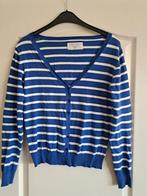 Leuk blauw met wit gestreept dames vestje maat 40 / L, Kleding | Dames, Truien en Vesten, Ophalen of Verzenden, Zo goed als nieuw