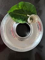 Riviera Maison Schaal leuk te decoreren, Huis en Inrichting, Overige materialen, Schaal, Rond, Ophalen of Verzenden