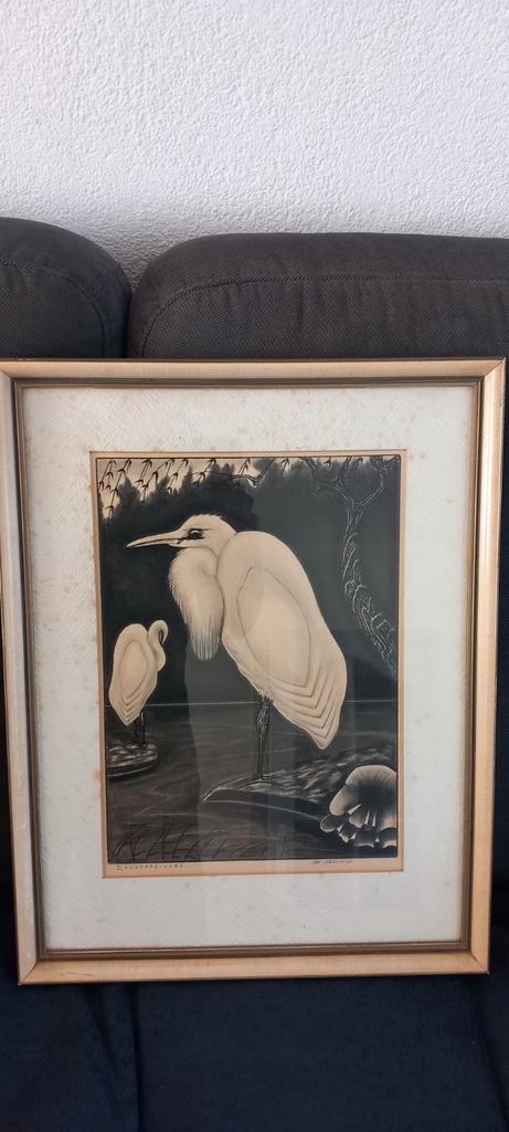 Prent zilverreigers reiger H of Th.Bènard gravure of litho, Antiek en Kunst, Kunst | Etsen en Gravures, Ophalen of Verzenden