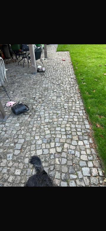 Kinderkopjes kasseien 10x10 60m2 beschikbaar voor biedingen