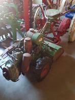 Tuinfrees agria, Ophalen of Verzenden