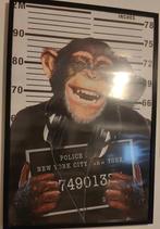 apen poster, Rechthoekig Staand, Deurposter of groter, Ophalen of Verzenden, Zo goed als nieuw