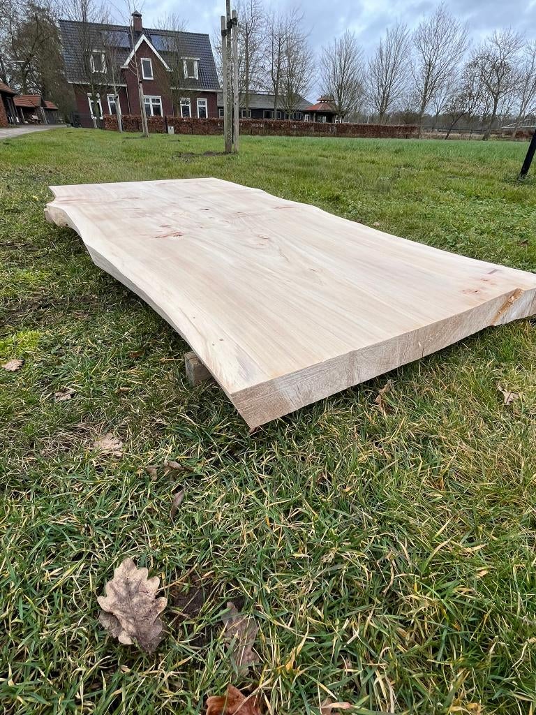 Populieren Tafelblad | Boomstamblad, Ophalen, Nieuw, 50 tot 100 cm, 150 tot 200 cm