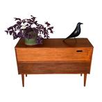 Vintage Blaupunkt Amazonas Audiomeubel, Ophalen