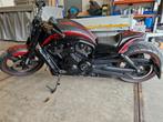 Harley  davidson v rod mussle custom, Motoren, Motoren | Harley-Davidson, Particulier, 2 cilinders, 1250 cc, Chopper