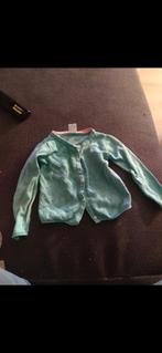 Superleuk baby vestje maat 86, Ophalen, Zo goed als nieuw, HEMA, Truitje of Vestje