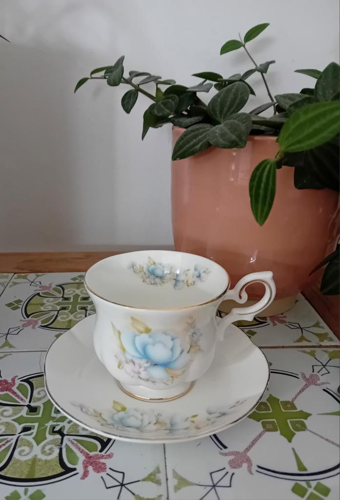 Royal Canterbury Kop en Schotel - Blauwe Roos, Huis en Inrichting, Keuken | Servies, Zo goed als nieuw, Kop(pen) en/of Schotel(s)