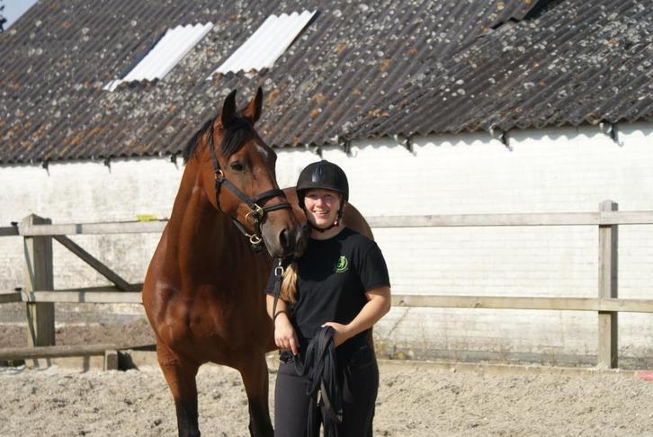 Trailerladen Paard/Pony, Dieren en Toebehoren, Paarden en Pony's | Verzorgingsproducten, Nieuw, Ophalen of Verzenden