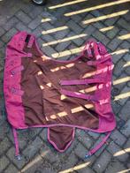 Regen deken Shetland pony, Dieren en Toebehoren, Ophalen