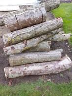 elzenhout ca 1m3 zelf te kloven, Tuin en Terras, Haardhout, Minder dan 3 m³, Ophalen, Elzenhout, Stammen