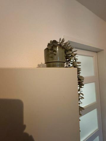 IKEA Ivar kast grenen 80x30x83 - afbeelding 5