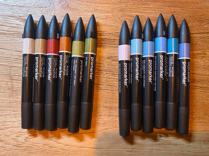 Winsor & Newton Promarkers - 12 stuks, Hobby en Vrije tijd, Tekenen, Gebruikt, Potlood of Stift, Ophalen of Verzenden