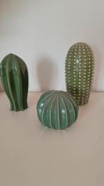 Cactus aardewerk, Ophalen of Verzenden