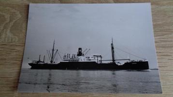 s.s Nijkerk beschikbaar voor biedingen