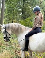 VERZORGPONY GEZOCHT, Dieren en Toebehoren, Ophalen of Verzenden