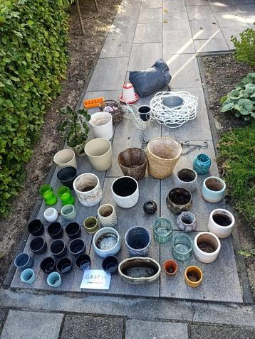 Diverse bloempotten, planten, decoratie etc beschikbaar voor biedingen