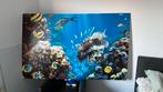 Onderwaterwereld in de zee 160x100cm forex 6mm met ophanging, Antiek en Kunst, Kunst | Schilderijen | Abstract, Ophalen
