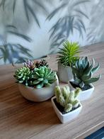 Kunst plantjes, Ophalen, Zo goed als nieuw