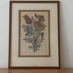 Antiek schilderij, litho - botanisch - bloemen, Ophalen