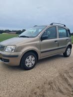 Fiat Panda 1.2 Edizione Cool, Stof, Panda, Beige, Grijs