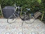 BATAVUS MAMBO 7V ZWART H70  2017 voor de Lange Man!, Ophalen, Versnellingen, Batavus, 56 cm of meer