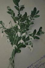 duitsland 1907 tak sneeuwklokjes, Verzamelen, Ansichtkaarten | Themakaarten, Ophalen, Voor 1920, Gelopen