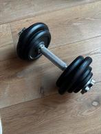 Diverse gietijzeren halterschijven en dumbbell, Sport en Fitness, Fitnessmaterialen, Ophalen of Verzenden, Gebruikt, Armen, Halterschijven