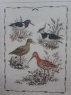 borduuren patroonen Scholekster Tureluur kievit grutto weide, Ophalen of Verzenden, Zo goed als nieuw, Handborduren, Patroon