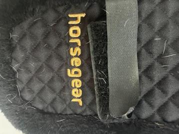 Singelhoes HORSEGEAR HGDressage Zwart beschikbaar voor biedingen