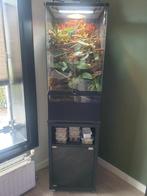 Exo Terra Terrarium/ Paludarium 45x90x45cm, Dieren en Toebehoren, Reptielen en Amfibieën | Toebehoren, Ophalen, Zo goed als nieuw