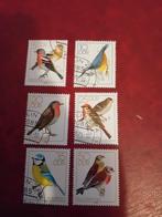 DDR Postzegels - Vogels, Postzegels en Munten, Ophalen of Verzenden