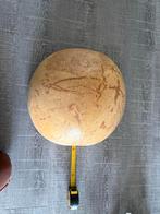 Kalebas Muziekinstrument - 38cm, Ophalen, Gebruikt