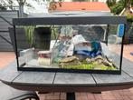 Aquarium, Ophalen, Nieuw, Leeg aquarium