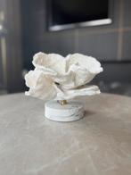 Koraal Decoratie op Marmeren Voet, Ophalen of Verzenden, Nieuw