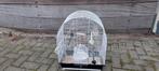 Vogelkooi te koop, Dieren en Toebehoren, Vogels | Hokken en Kooien, Ophalen, Gebruikt, Overige materialen, Vogelkooi