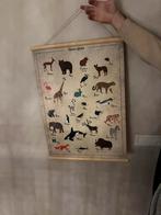 Poster dieren kinderkamer, Ophalen of Verzenden