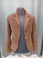 Review bruin rib colbert maat 34, Ophalen of Verzenden, Zo goed als nieuw, Maat 34 (XS) of kleiner, Bruin
