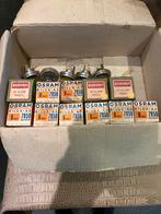 6V & 12V Bol Lampen Geel + Wit - In één koop!, Auto-onderdelen, Ophalen of Verzenden, Nieuw, Oldtimer onderdelen