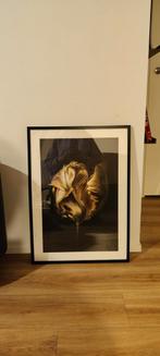 Zwarte lijst 50x70cm, excl. poster, 2 stuks, Huis en Inrichting, Woonaccessoires | Lijsten, Ophalen, Overige materialen, Minder dan 50 cm