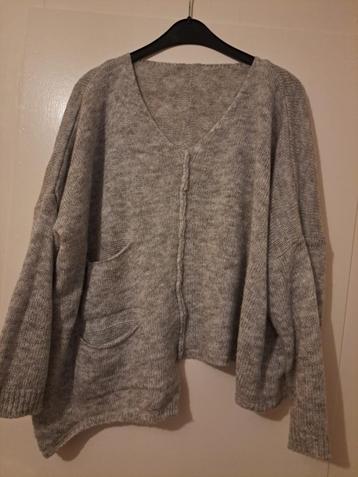 Lichtgrijze speelse asymmetrische trui (valt als 44/46/XXL) beschikbaar voor biedingen