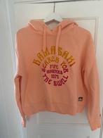 2 x Hoodie Superdry mt 42, Ophalen of Verzenden, Zo goed als nieuw, Maat 42/44 (L)