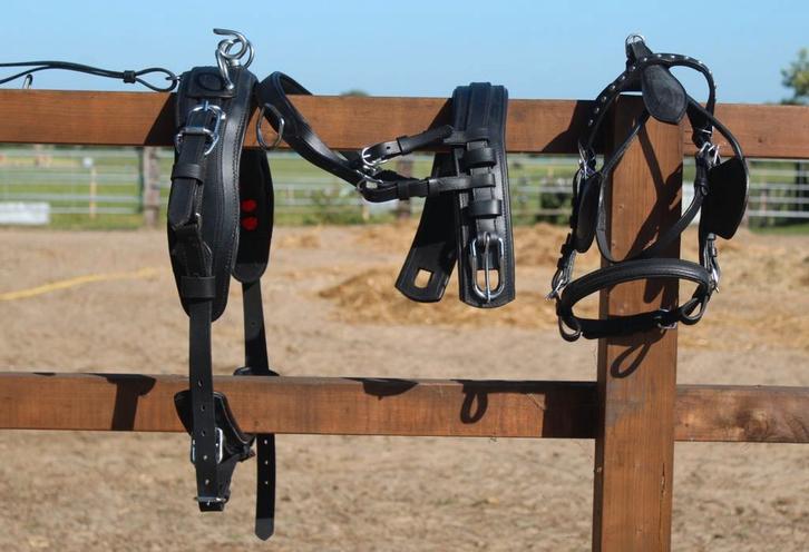 Te koop nieuw shetlander mentuig
Zwart, Dieren en Toebehoren, Paarden en Pony's | Hoofdstellen en Tuigage, Nieuw, Overige soorten