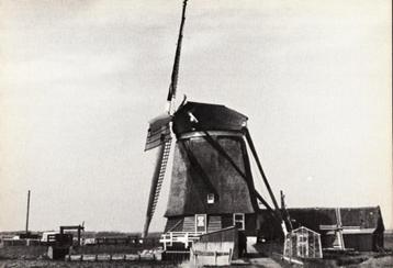 (NH018) Fotokaart molen Noordermolen 1977 grootformaat beschikbaar voor biedingen